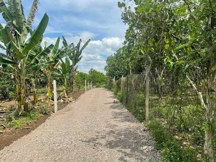 Lô Đất Củ Chi đắc địa cần đổi chủ, 80 m2, giá 2,3 tỷ - Ảnh 1